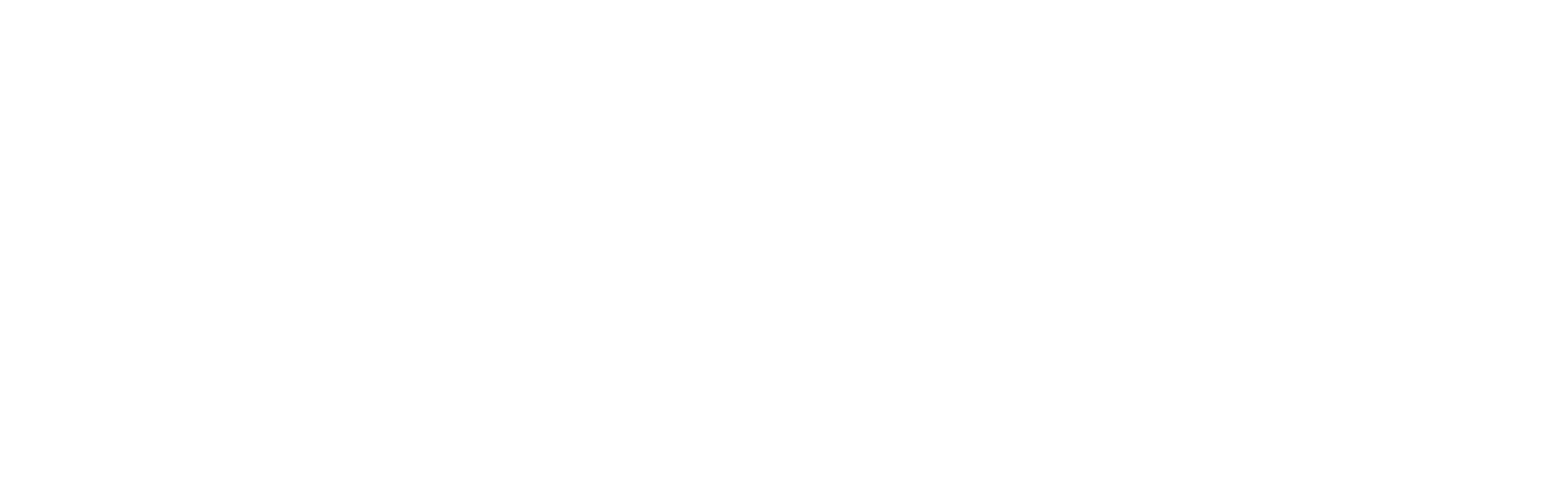 VOLEA